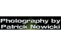 Photography by Patrick Nowicki - logo