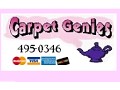 Carpet Genies - logo