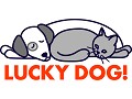 Lucky Dog - logo