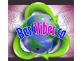BestVibes - Womens Vibrators Houston - logo