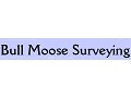 Bull Moose Surveying - logo