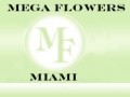 Wedding Organizers Miami, Coconut Grove - logo